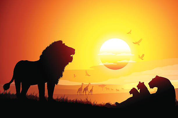 Africa