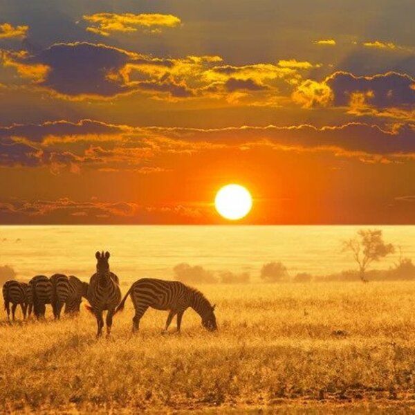 africa 4